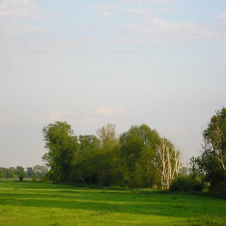 Parkhotel Schönewalde Екстериор снимка
