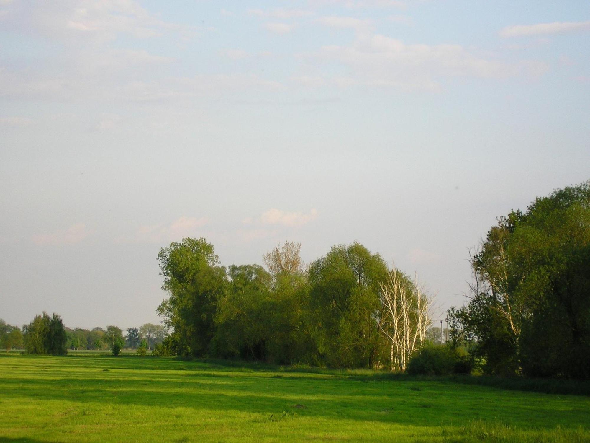 Parkhotel Schönewalde Екстериор снимка